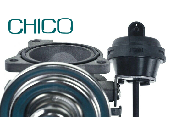 AGR-Ventil des Auto-TS16949 für 1100628 7.03703.62.0 038131501AQ FORD PIERBURG VW PASSAT