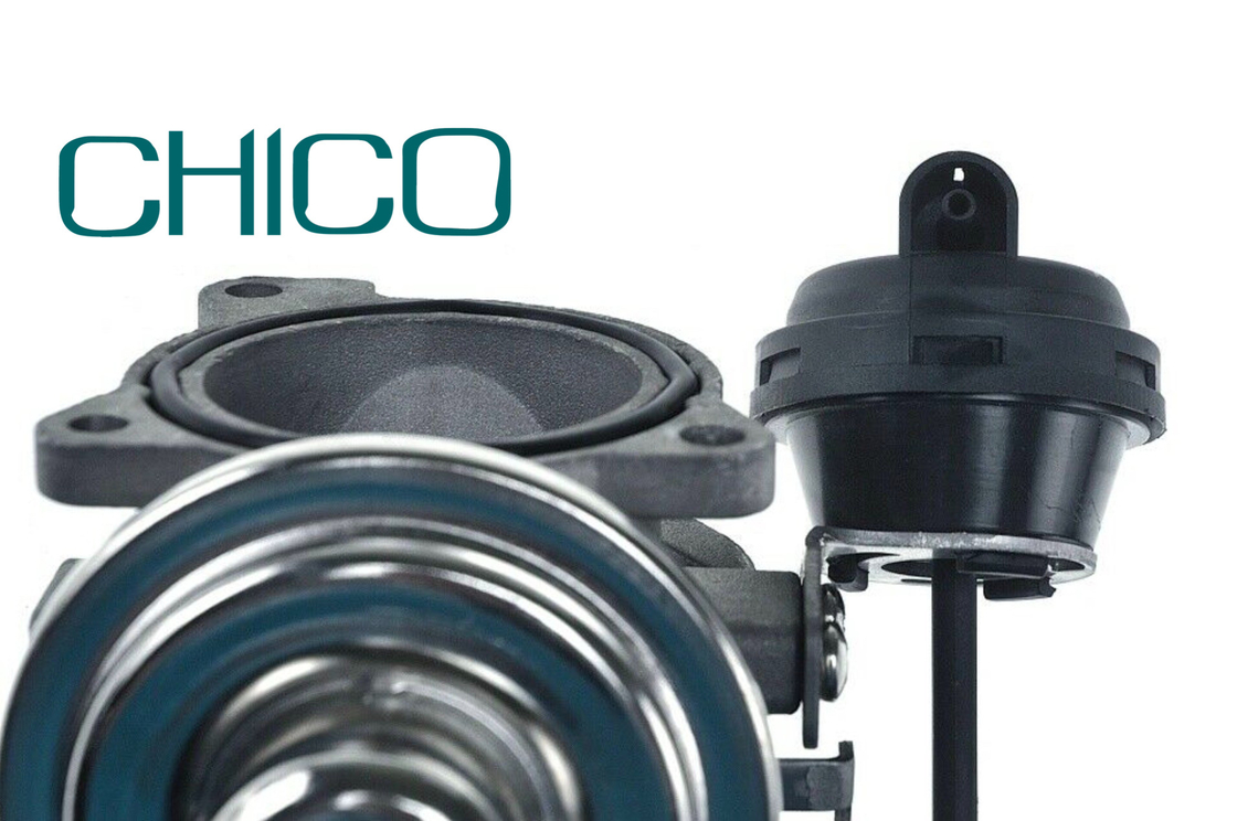 AGR-Ventil des Auto-TS16949 für 1100628 7.03703.62.0 038131501AQ FORD PIERBURG VW PASSAT