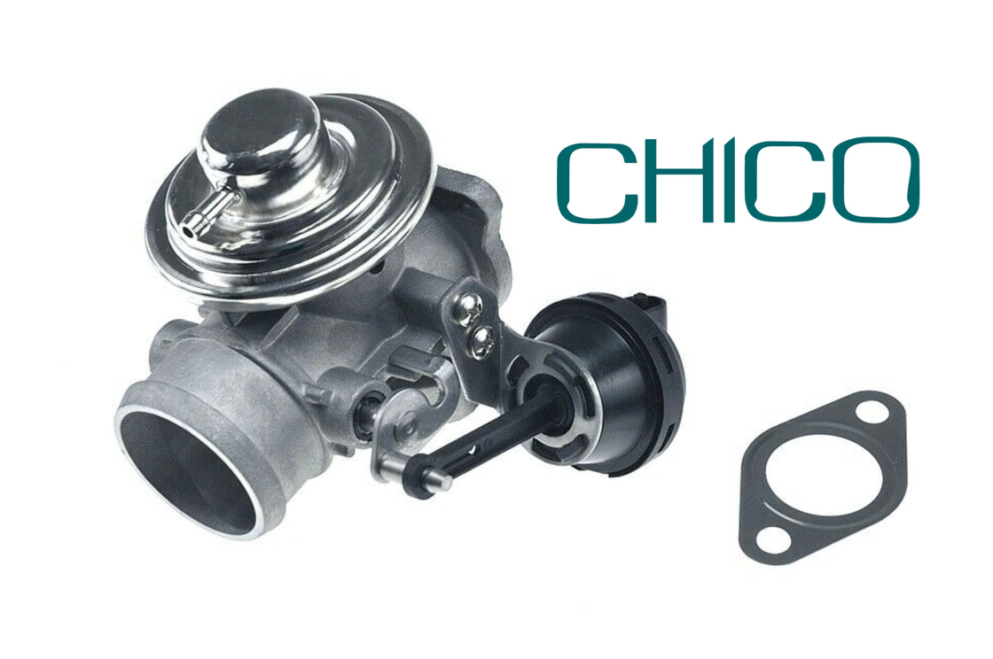 AGR-Ventil des Auto-TS16949 für 1100628 7.03703.62.0 038131501AQ FORD PIERBURG VW PASSAT