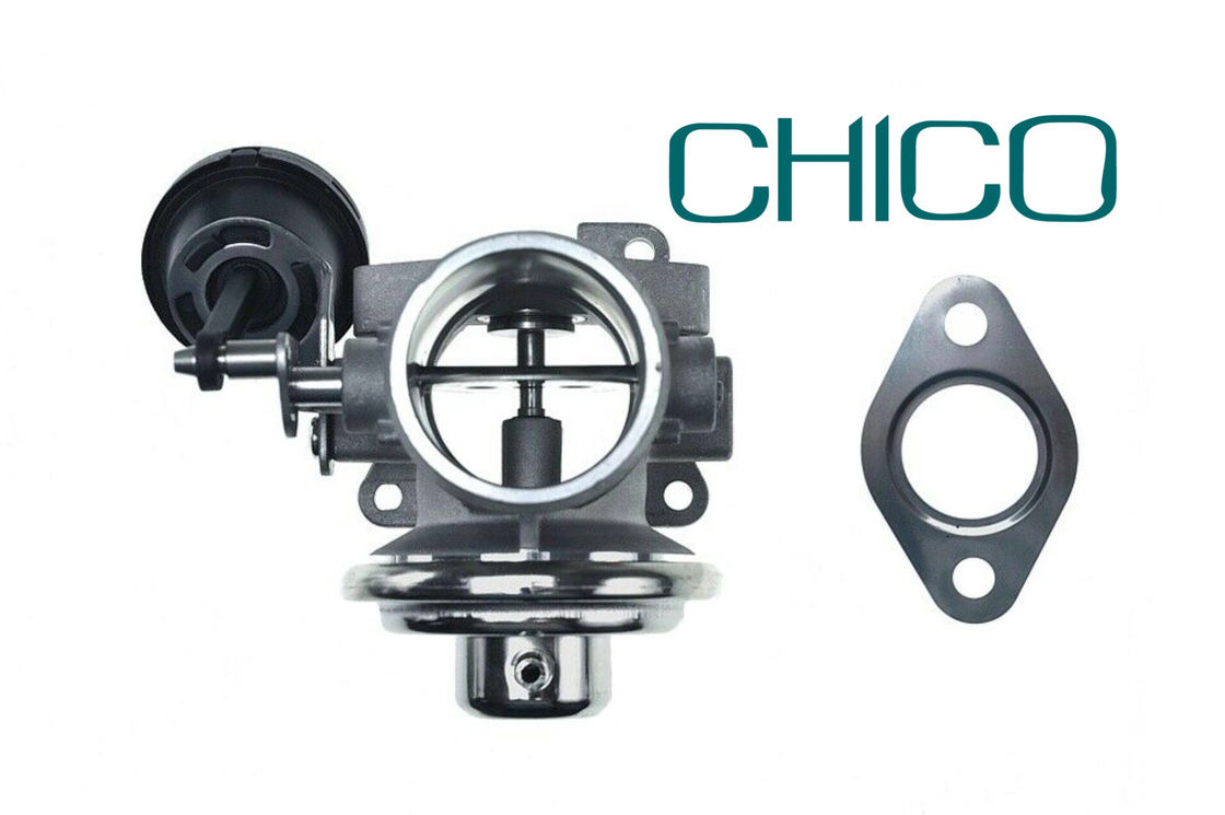 AGR-Ventil des Auto-TS16949 für 1100628 7.03703.62.0 038131501AQ FORD PIERBURG VW PASSAT