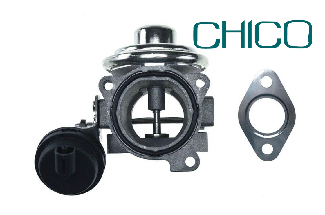 AGR-Ventil des Auto-TS16949 für 1100628 7.03703.62.0 038131501AQ FORD PIERBURG VW PASSAT